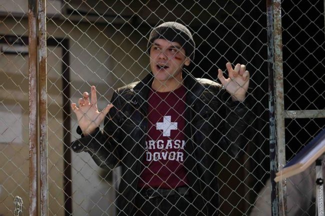 zbor deasupra unui cuib de cuci