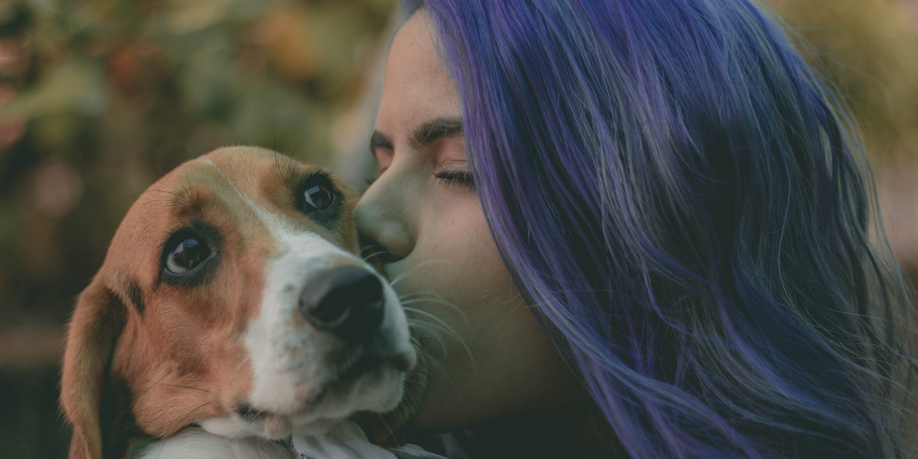 caine, femeie, animal