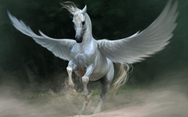 pegasus