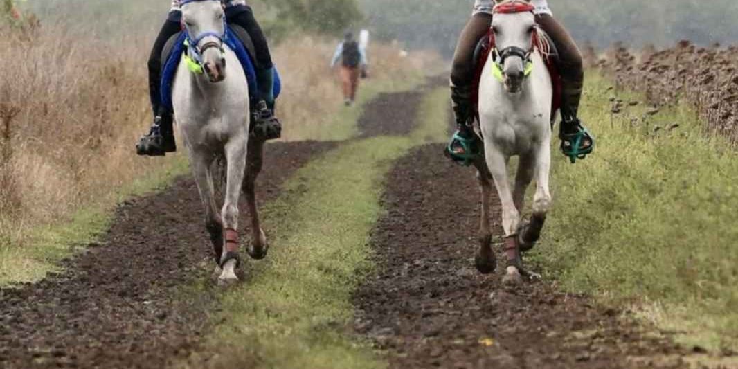 andurantaCupa-Shagya-Buftea-3